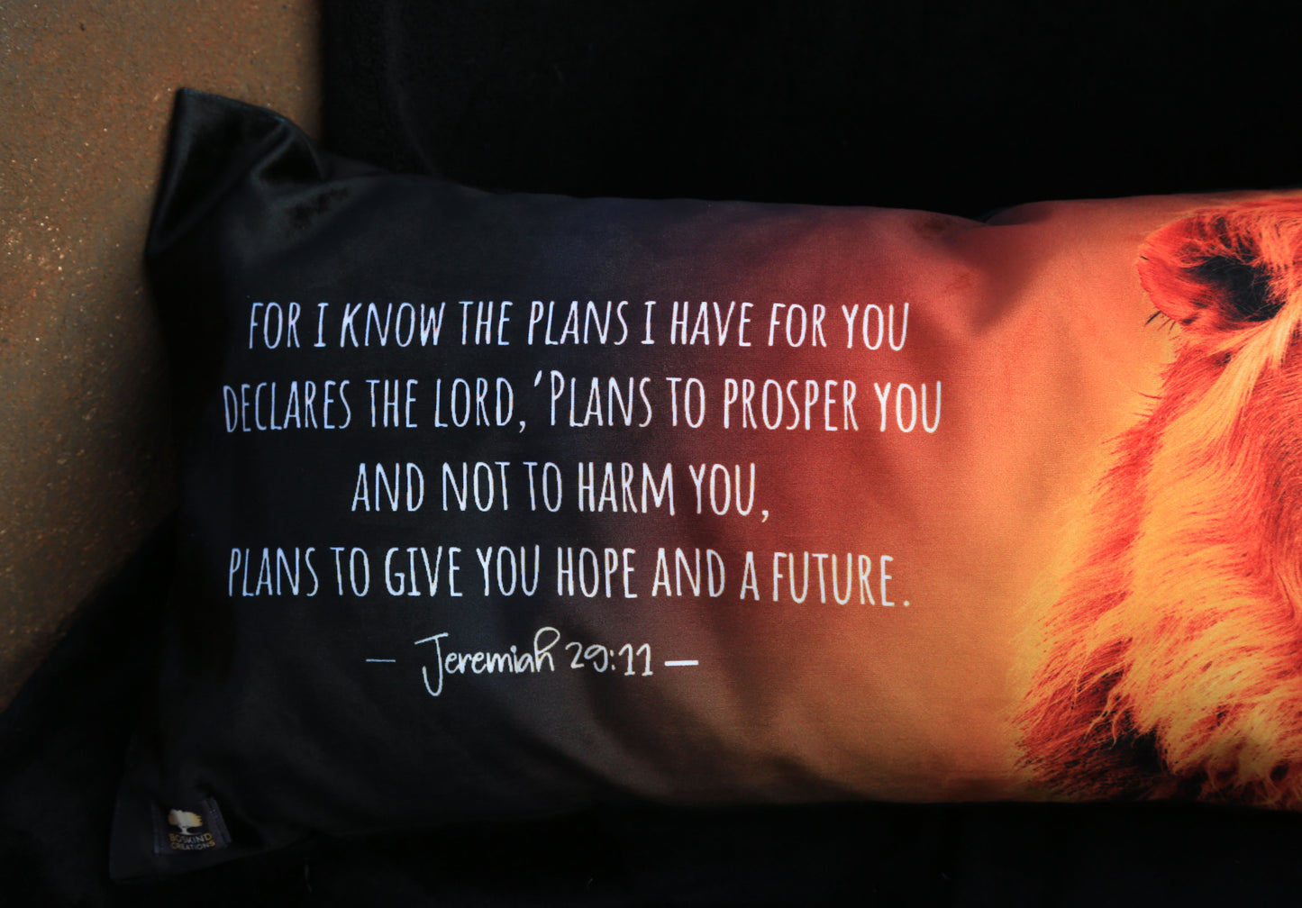 PRAYER PILLOW LION OF JUDAH - FOR I KNOW THE PLANS I HAVE FOR YOU